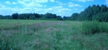 Dzialki - sell - RYDZ�W 