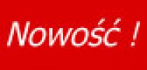 Domy - sell - Stare Miasto - Pi�tro domu.